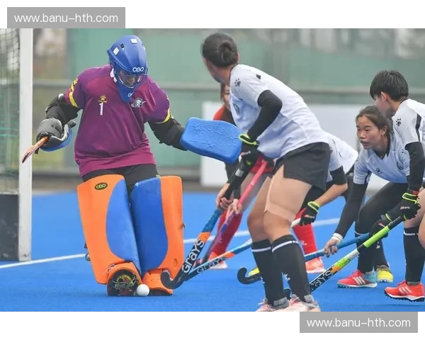 新闻曲棍球：让信息飞跃的革命